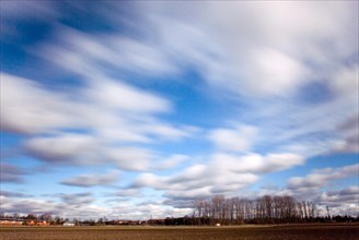 Landscape with field and bleak small wood and white clouds blurred, drifting, Munich, Bavaria,