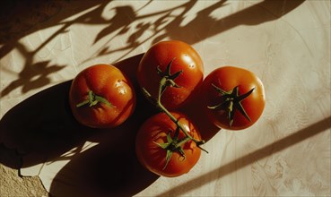 Ripe tomatoes on a light background with shadow. AI generated