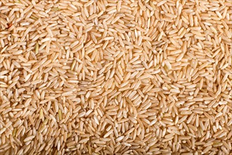 Texture of brown rice. Top view