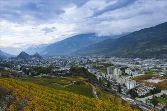 Sion in the Rhone Valley, Alps, valley, travel, city, tourism, holiday, wine, vine, viticulture,