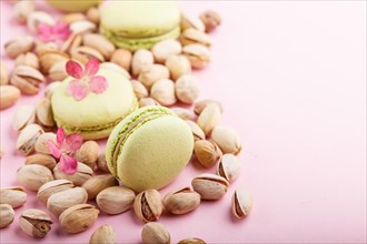 Green macarons or macaroons cakes with pistache nuts on pastel pink background. side view, close