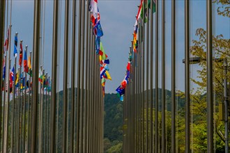 Flags from several nations flying on chrome flagpoles with trees and blue sky in background in