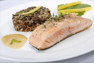Southern German cuisine, fillet of Dreisam salmon with wild rice and lemon sauce, salmon fillet,