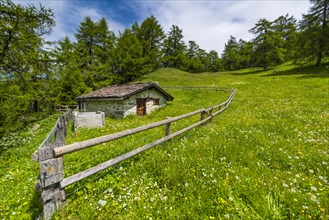 Swiss mountain hut in the Valais Alps, nature, hut, alpine pasture, mountain pasture, idyllic,