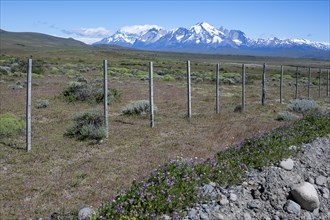Wildlife protection fence, Torres del Paine National Park, Parque Nacional Torres del Paine,
