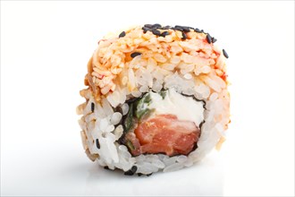 Japanese maki sushi rolls with salmon, sesame, isolated on white background. Side view, close up,