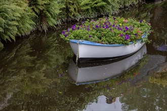 Boat planted with flowers, river Trieux, Pontrieux, Departement Cotes dArmor, Bretagne, France,