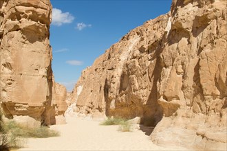 White canyon with yellow rocks, sunny day. Egypt, desert, the Sinai Peninsula, Nuweiba, Dahab