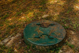 Green manhole cover in shaded clearing in public park in South Korea
