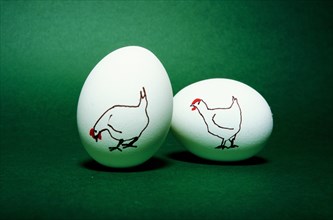 Two hen eggs with cartoon on green background