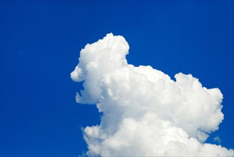 Spring cloud (Cumulus Congestus)