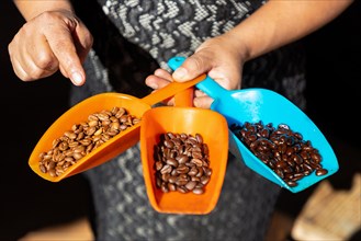 A woman shows the different stages of roasting the coffee beans, Pluma Hidalgo, Pochutla, Oxaca
