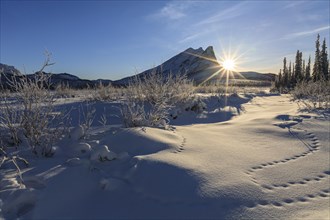 Winter landscape in front of mountains, sunrise, backlight, sun star, Brooks Range, Alaska, USA,