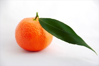Clementine orange