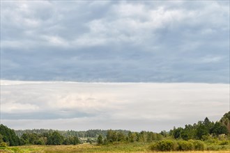 Rural landscape on a cloudy gray sky background with trees on the horizon
