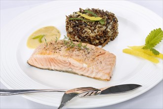 Southern German cuisine, fillet of Dreisam salmon with wild rice and lemon sauce, salmon fillet,
