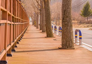 Wooden pedestrian walkway with red wooden fence one one side and trees on the other next to a rural