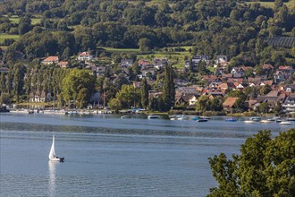 Sailing boat off Wangen, a district of Oehningen on Untersee, Hoeri, Lake Constance, Germany,
