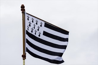 Flag of Brittany, also known as Gwenn ha Du, blowing in the wind, Brittany, France, Europe