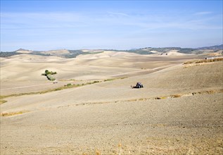 Tractor in fields farming landscape in rural Cadiz province near El Gastor village, Spain, Europe