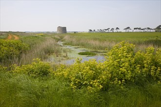 Martello tower stands in field at Alderton, Suffolk, England, United Kingdom, Europe