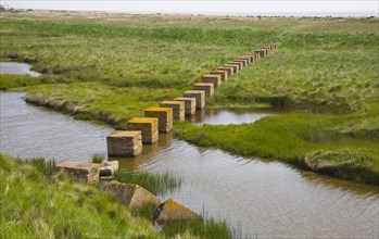Concrete block tank traps from the second world war cross coastal marshes at Alderton, Suffolk,