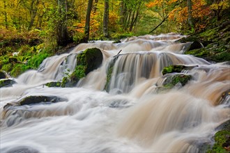 Waterfall near Alexisbad on the Selke river in nature reserve Obere Selketal in autumn, Harz