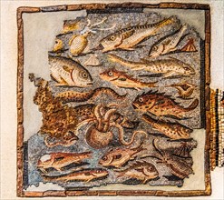 Mosaic with fish, 1st century, National Archaeological Museum, Villa Cassis Faraone, UNESCO World