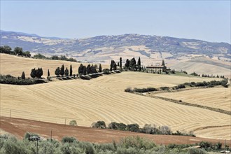 Tuscan landscape south of Pienza, Tuscany, Italy, Europe