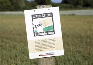 Operation Bumble Bee sign on by field, Suffolk, England a scheme to promote insect habitat in