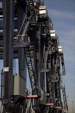 Container cranes, Port of Felixstowe, Suffolk, England, United Kingdom, Europe