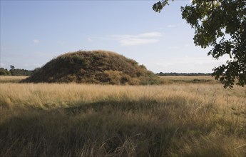Burial mound at the Anglo Saxon archaeological site of Sutton Hoo, Suffolk, England, United
