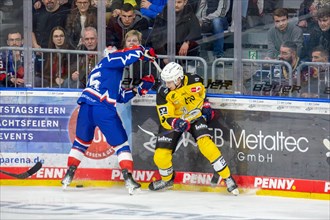 23.02.2024, DEL, German Ice Hockey League, Matchday 48) : Adler Mannheim (yellow jerseys) against