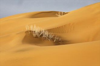 Mesr Desert in Iran. The Mesr Desert is part of the central Dashte-Kavir desert, 12.03.2019