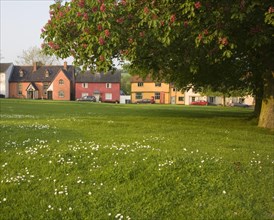 Houses around the village green, Hartest, Suffolk, England, United Kingdom, Europe