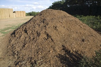 Large pile of organic compost material to be used in farming, Alderton, Suffolk, England, United