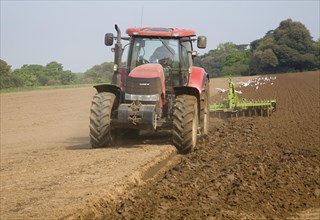Tractor harrowing soil in field in preparation for planting, Shottisham, Suffolk, England, United