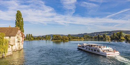 Excursion boat on the Hochrhein near Stein am Rhein, Rhine, Lake Constance, Canton Schaffhausen,