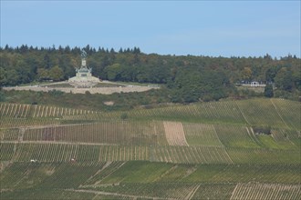 View of UNESCO Niederwald Monument with vineyards, landscape, wine-growing area, Niederwald