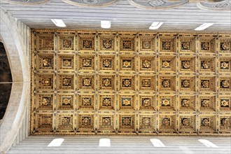 Cassette ceiling in the nave, Cathedral of Santa Maria Assunta, Pisa, Tuscany, Italy, Europe
