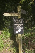 Coast path footpath direction marker post with advert for cream teas, Helford, Cornwall, England,