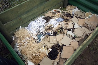 Cardboard and shredded paper composting in compost bin