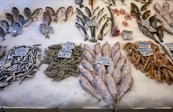 Display of fresh fish and seafood on ice, fishmonger, food, Kapani Market, Vlali, Thessaloniki,