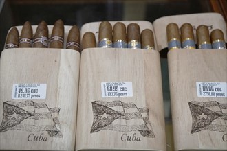 Selection of original Cuban cigars, tourist shop, Santa Clara, Cuba, Central America, America,