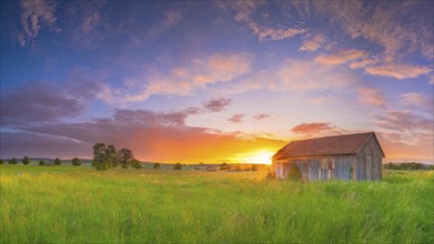 An old hut stands in a meadow in the sunset, panorama, landscape format, evening light, landscape