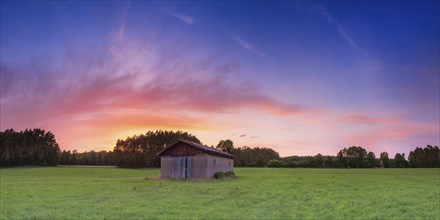 Barn in a meadow, sunset, evening light, panorama, landscape, Eilvese, Neustadt am Ruebenberge,