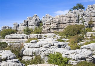 Dramatic limestone scenery of rocks shaped by erosion and weathering at El Torcal de Antequera