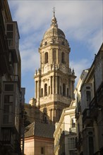 Bell tower Baroque architecture exterior of the cathedral church of Malaga city, Spain, Santa