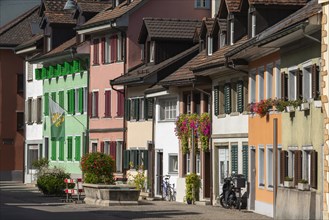 Old town of Dissenhofen on the Rhine, floral decoration, district of Frauenfeld, canton of Thurgau,