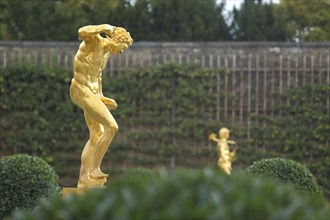 Satyr with cymbal as golden statue, sculpture, golden, cymbal player, shining, shining, orangery,